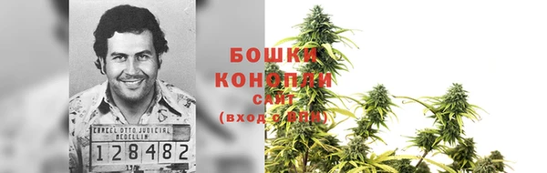 эйфоретик Елизово