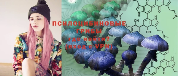 винт Елабуга