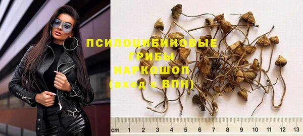 винт Елабуга