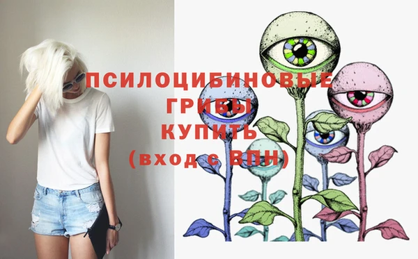 винт Елабуга
