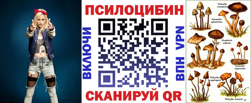 наркошоп  Петухово  Псилоцибиновые грибы GOLDEN TEACHER 